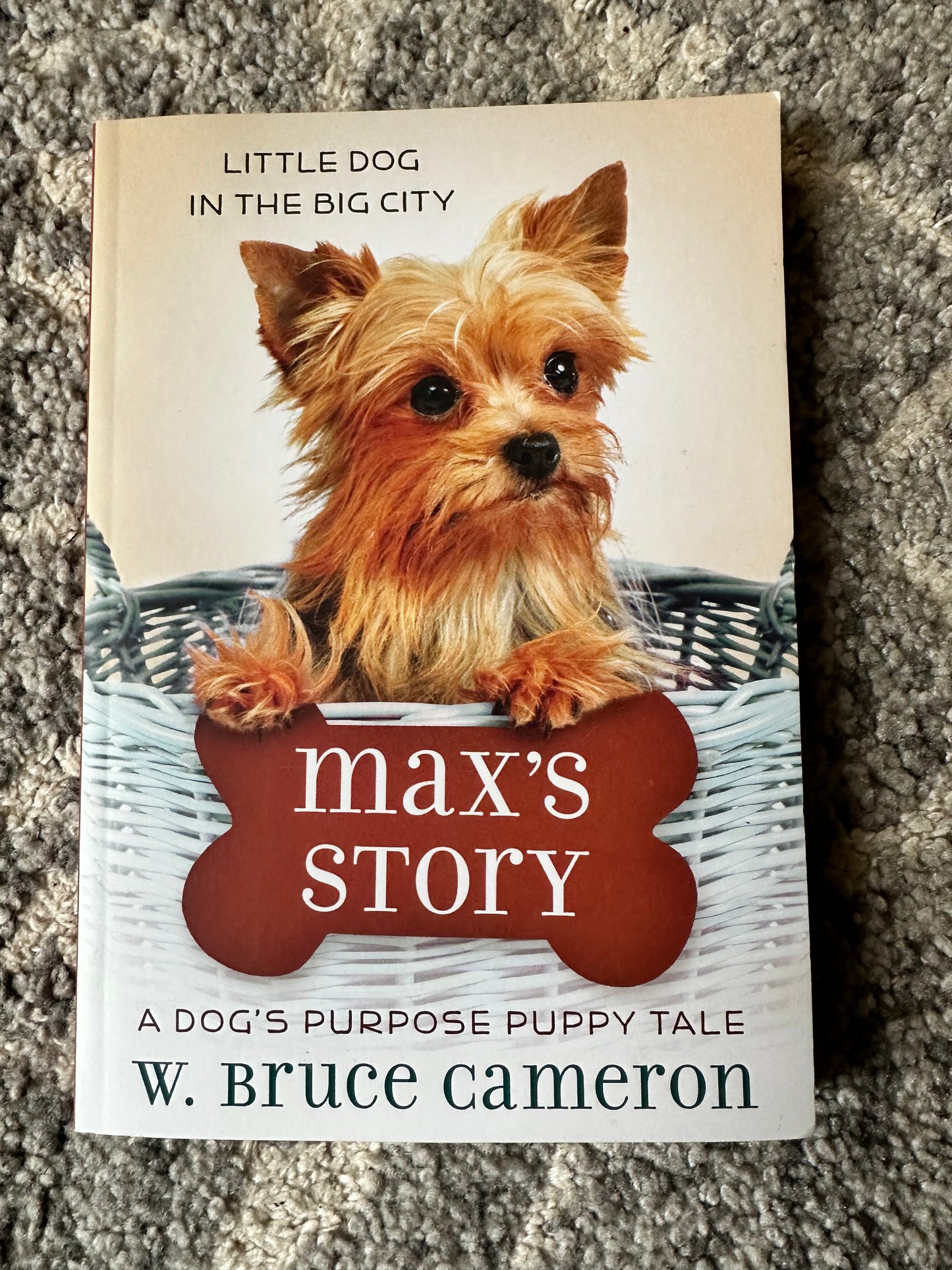 L'histoire de Max