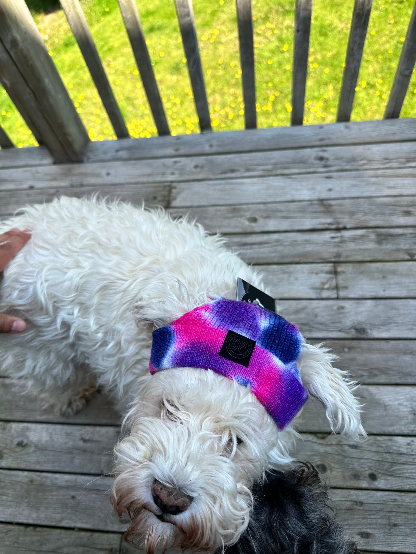 NEW-Tie Dye Beanie for pucci size M