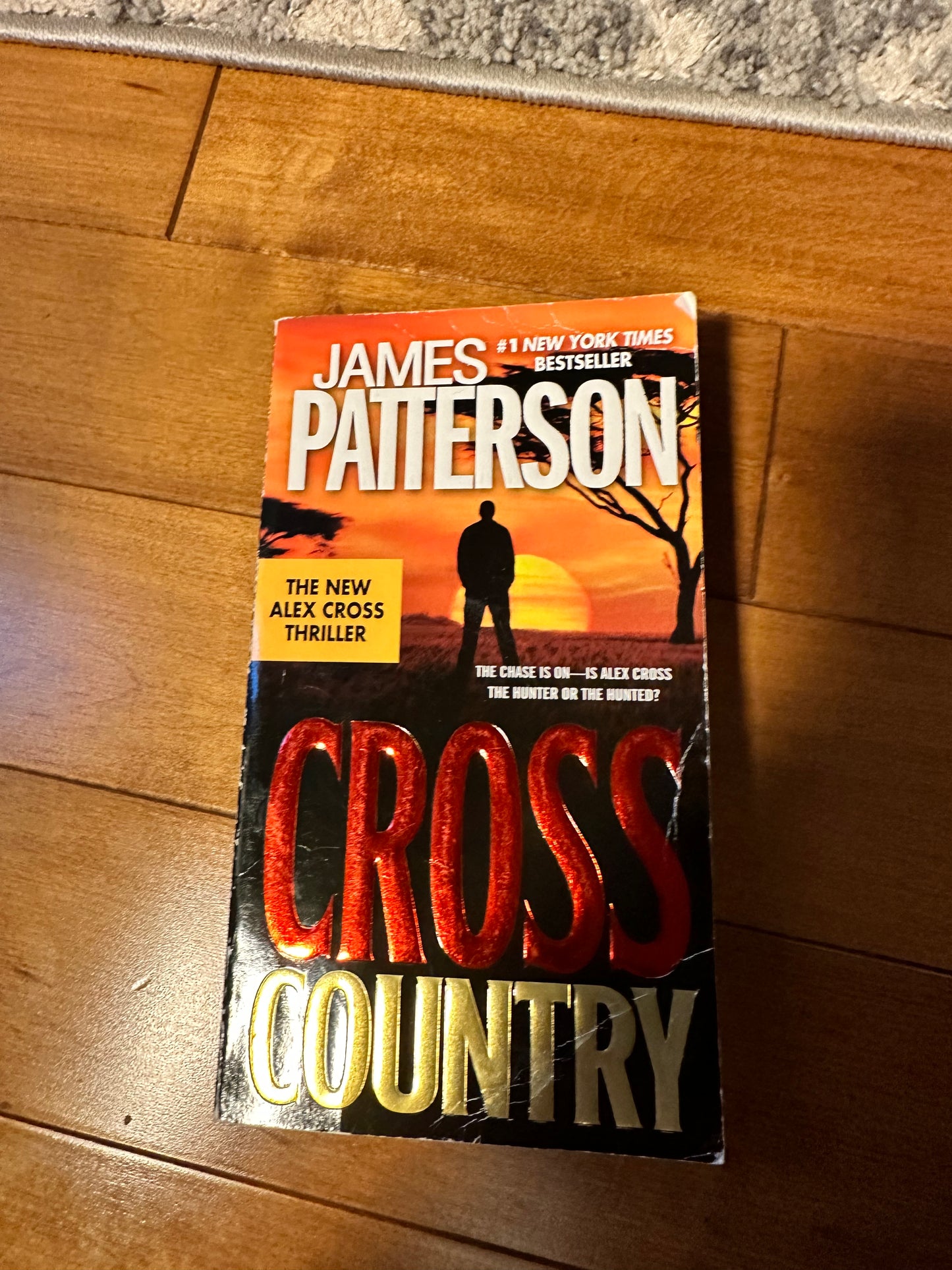 James Patterson Ski de fond