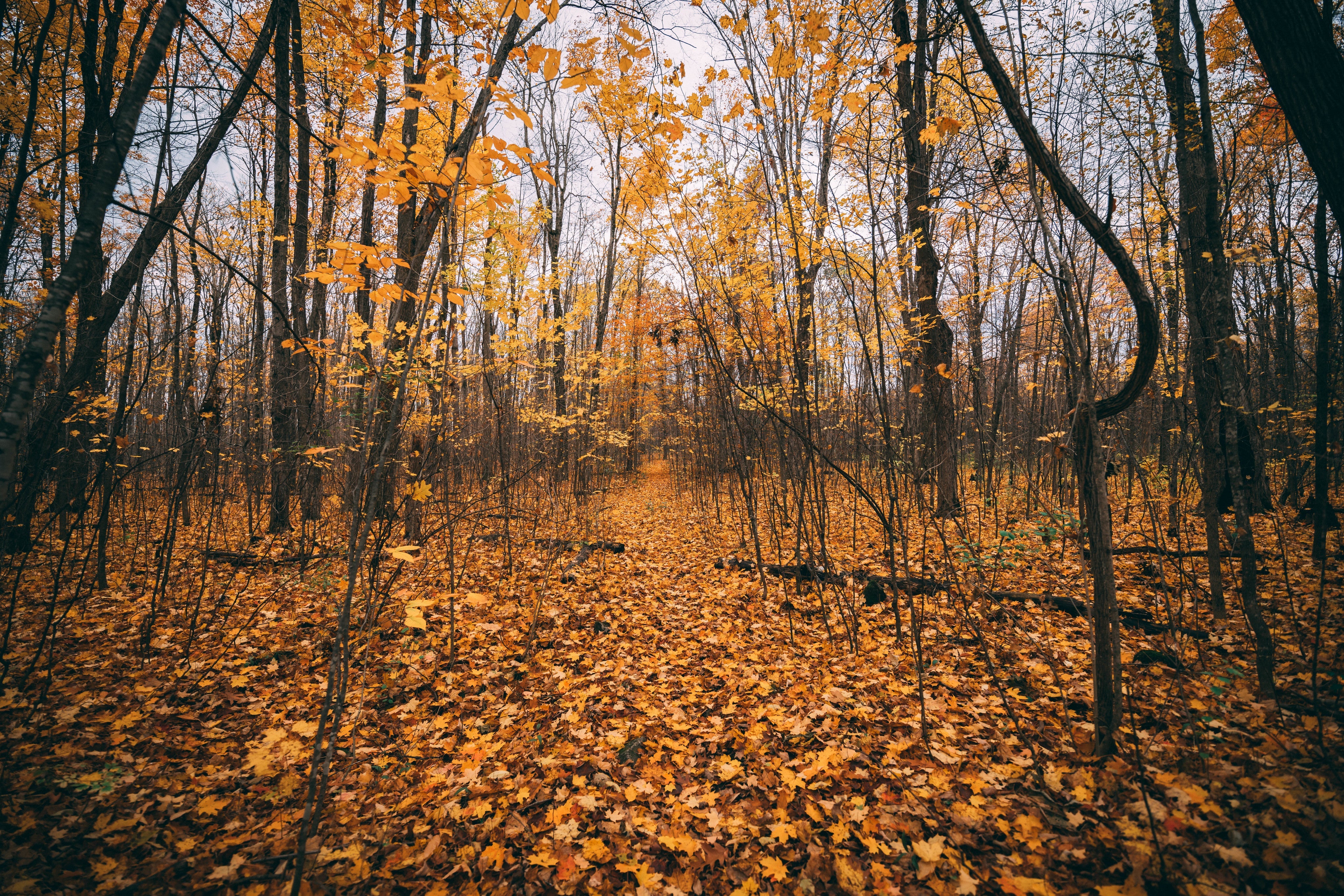 That Fall feeling